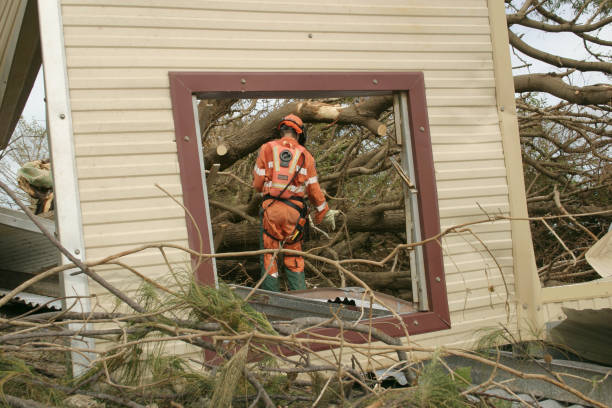 Best Hedge Trimming  in Boardman, OR